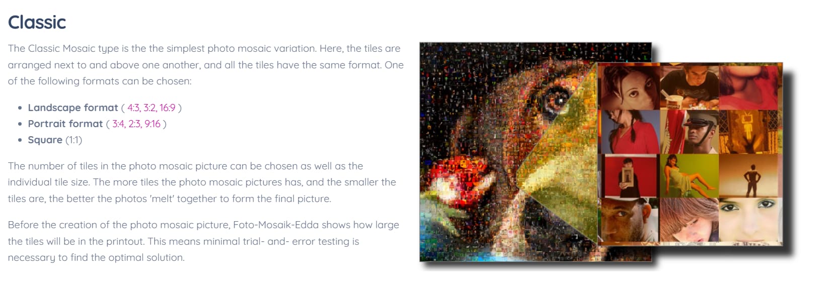 foto mosaik website
