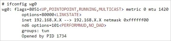 configure truenas wireguard