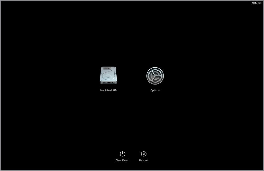 loading startup options