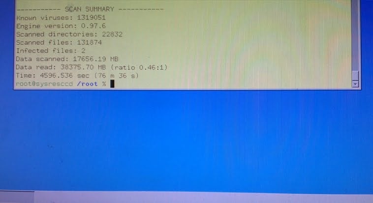 scan summary of systemrescuecd